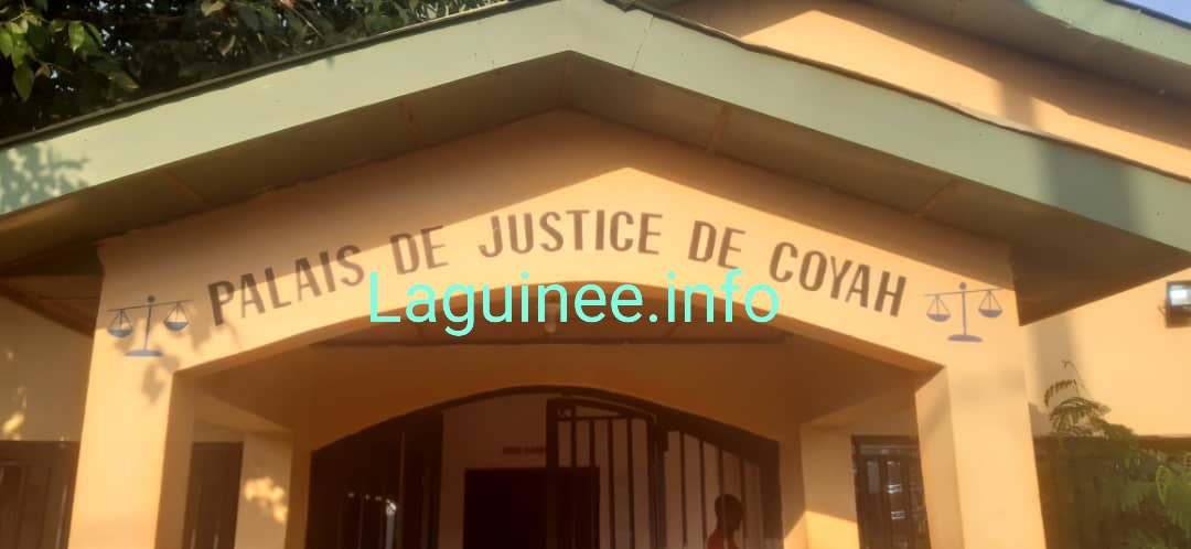 TPI de Coyah : 150 dossiers traités sur les 320 enregistrés en 2020