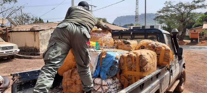 Télimélé: une importante quantité de chanvre indien saisie par la gendarmerie