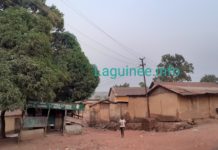 Tremblement de terre à Kindia : les causes enfin connues ?