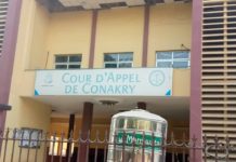 Fermeture des bureaux et du siège de l’UFDG : l’arrêt de la cour d’Appel de Conakry attendu ce jeudi