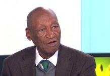 Nécrologie : le célèbre écrivain Djibril Tamsir Niane n’est plus