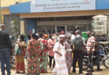 Extension du port artisanal de petit bateau: des femmes marayeuses manifestent à Kaloum