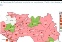 Covid-19 en Guinée : 30 préfectures sur les 33 au total, touchées