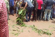 Labé: en tentant de monter dans un camion, Mamadou Yaya tombe et meurt sur place