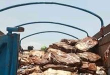 Labe: plus de 350 cartons de poissons pourris saisis dans le quartier Daka 2