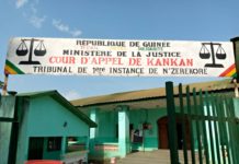 N’Zérékoré : plusieurs membres du FNDC condamnés à un an de prison avec sursis
