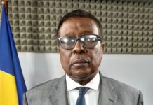 Tchad : un policier radié pour avoir tiré sur un manifestant (porte-parole du gouvernement)