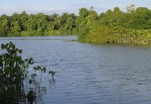 Kindia: un homme retrouvé mort par noyade au lac de Bangouyah