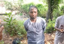 Conakry : Le gouvernorat accusé de mettre pied sur une compétence des mairies