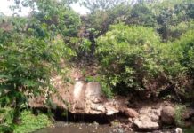 Pollution de la forêt de Kakimbo: une ONG tire la sonnette d’alarme
