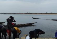Tiguibiry/Siguiri : Un hippopotame tue un pêcheur sur le fleuve Bafing