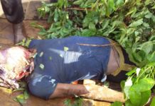 Tiguibiry/Siguiri : le corps du pêcheur tué par l’hippopotame repêché dans le fleuve Bafing