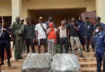 Saisie du chanvre indien dans un camp militaire de Dubreka: voici les explications du procureur