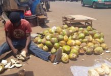 Vente de la noix de coco à Conakry: constat sur son attraction de plusieurs jeunes