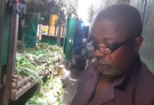 Santé : la pharmacopée, une autre méthode de traitement de plusieurs maladies