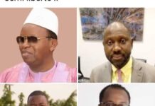 Liberté conditionnelle pour Gaoual et cie: voici la toute première réaction de Dalein