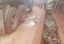 Kankan : un camion percute et tue huit moutons