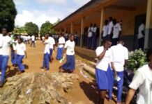 Fin du baccalauréat unique : voici les réactions de quelques candidats de N’Zérékoré