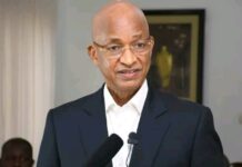 Échec du projet de relance de la filière coton : Dalein tacle le gouvernement guinéen