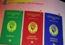 Passeports des guinéens de l’étranger: une bonne nouvelle pour ceux qui vivent en France