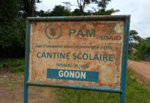 N’Zérékoré : un bébé d’un mois dévoré par un porc dans le village de Gonon