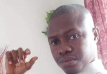 Le loup dans la Bergerie : par Mohamed Lamine Sylla