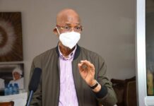 Événements de Foulata (Siguiri) : Cellou Dalein parle de « Zogota Bis »