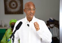 12ème Assemblée générale virtuelle de l’UFDG : voici le discours intégral de Cellou Dalein Diallo