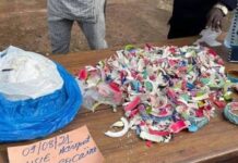 Aéroport de Conakry: deux kilogrammes de cocaïne saisis sur une brésilienne