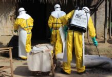 Guinée : le cas du virus Marbourg confirmé par l’Institut Pasteur de Dakar, 155 contacts suivis