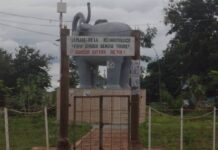 Faranah: Un jeune voleur récidiviste condamné à 7 ans de prison ferme