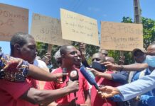 Des dirigeants de la CEDEAO hués à l’aéroport : « Nous voulons des solutions guinéennes aux…»