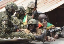 Plusieurs militaires libérés : Me Bea souhaite que la mesure soit étendue à d’autres officiers