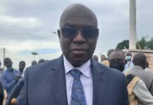 « Ils ne veulent pas que les Guinéens comprennent », Dr Faya Millimouno dénonce la manœuvre sur la Constitution