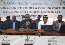 Transition en Guinée : voici les suggestions de l’ONG « Guinée Unité » au CNRD