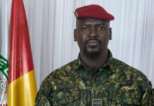 Décrets : des hauts cadres nommés au ministère de l’Agriculture et de l’Elevage