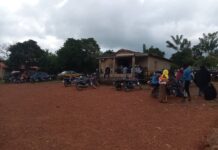 Mamou : la chute d’un arbre tue une femme et son enfant