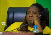 Mohamed Béavogui, PM : «son intégrité reflète un début de réponse fiable», dixit Domani Doré