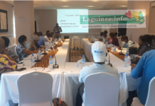 Conakry : Des journalistes à l’école de l’OGDH sur la vulgarisation »des droits des femmes en Guinée »