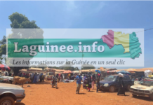 Pita : un jeune d’une trentaine d’années tué par balles à Donghol