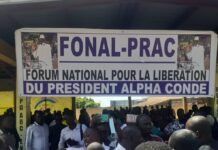 Probable succession d’Alpha Condé : un journaliste pris pour cible par des militants surexcités au siège du RPG