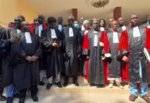 Cour d’appel de Conakry : les huit nouveaux avocats stagiaires prêtent serment