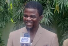 100 jours du CNRD : ce que Pépé Francis Haba, recommande à la junte au pouvoir