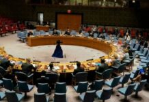 Les sanctions contre le Mali divisent le Conseil de sécurité de l’ONU
