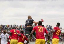 Guinée-Zimbabwé : l’optimisme des supporters du Syli National
