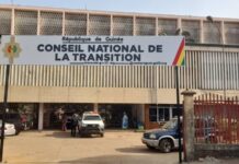 Consultations dites populaires organisées par le CNT : pourquoi faire ?