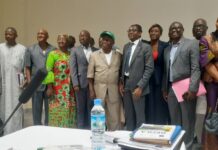 Conakry : tenue de la troisième session du Comité de pilotage du projet de relance de la filière ananas