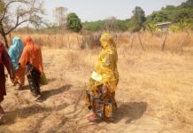 Thiondoye/Maci: constat sur le manque d’un besoin urgent de la localité