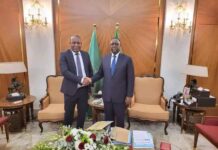 Le général à la retraite Sekouba Konaté reçu par le président Macky Sall : ce qu’on sait du tête-à-tête