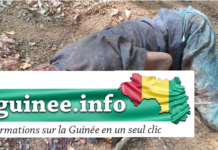 un vieil homme de 70 ans égorgé puis morcelé par un jeune à Faranah : ce qu’on sait de la tragédie
